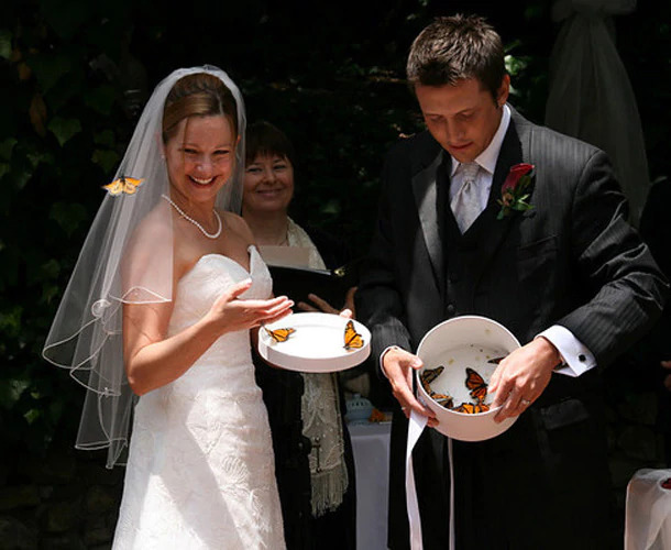 contemporary and traditional wedding rituals