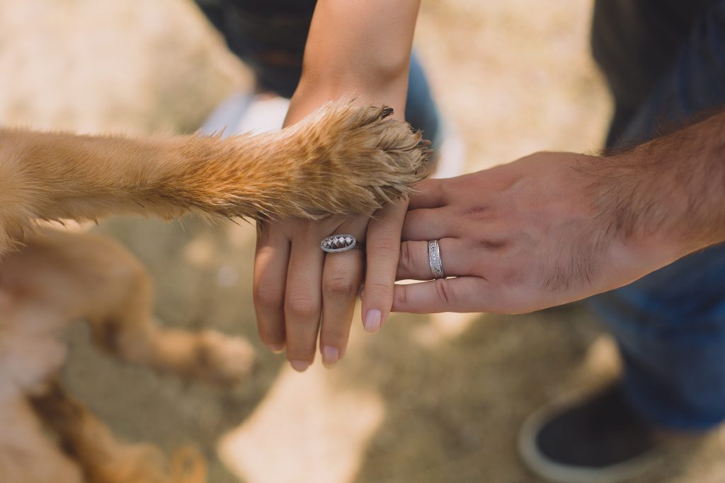 The dog ate my wedding ring: things to consider when pet’s join the party