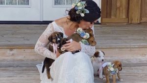 Bridesmaids trade bouquets for puppies