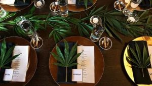 Blazing a trail: Cannabis weddings