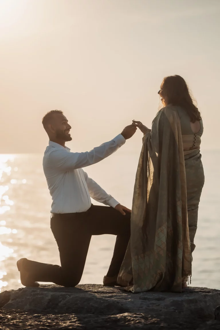 Pros and cons of a public proposal public proposal