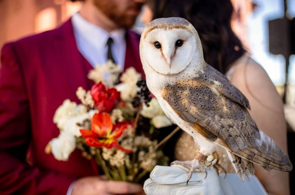 A magical Harry Potter-themed wedding