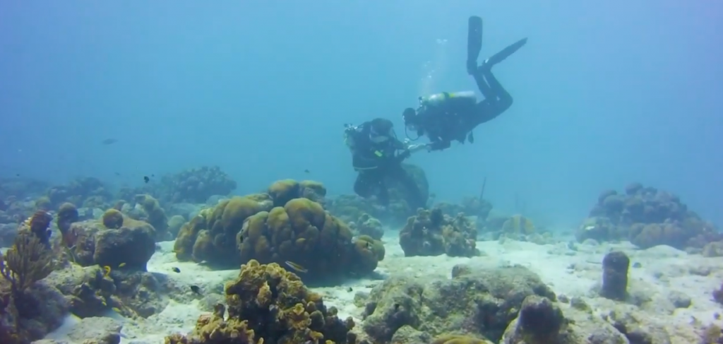 Man surprises girlfriend with underwater proposal