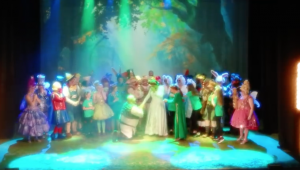 Shrek and Fiona performers get engaged onstage
