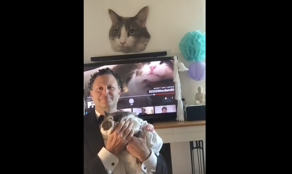 Man 'marries' his cat for a good cause