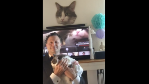Man 'marries' his cat for a good cause