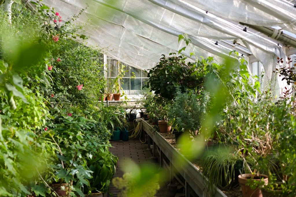 5 reasons you need to wed in a greenhouse