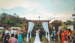 How to turn your backyard into a wedding venue