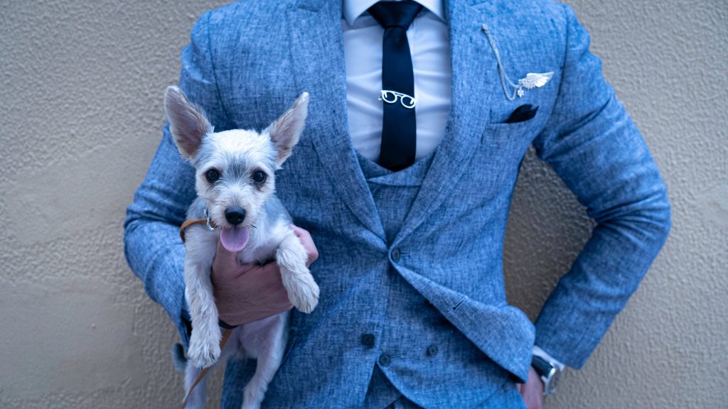How to have a pet-friendly wedding