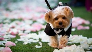 Adorable ring bearers we can't get enough of