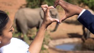 Botswana's Tuli Game Reserve - Say 'I do' in the heart of nature