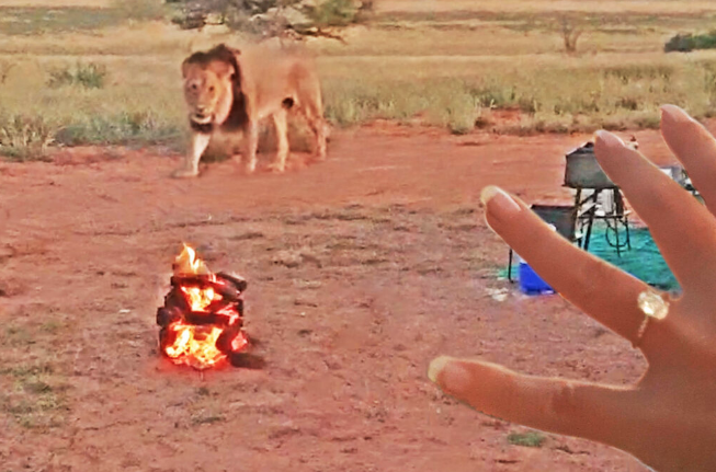 A roaring proposal! A lion joined this Cape Town couple’s engagement