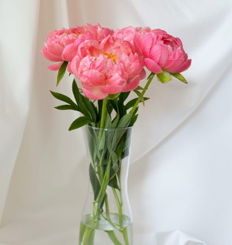 The rise of single-flower bridal bouquets monofloral bouquet
